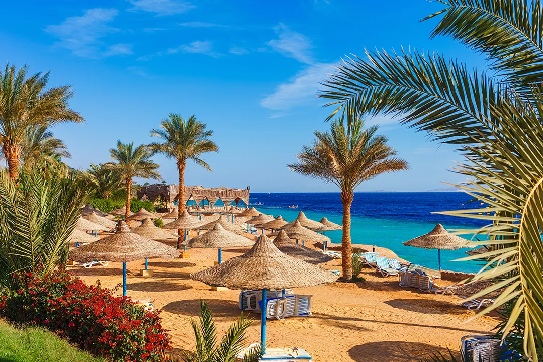 Prime Sharm El Sheikh Turu Yaz Dönemi 4 Gece (4*Charmillion Sea Life Hotel vb.) [Alkollü Her Şey Dahil]