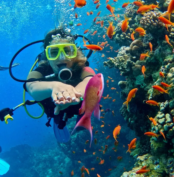 Prime Sharm El Sheikh Turu Yaz Dönemi 4 Gece (5* Amphoras Beach vb.) [Ultra Her Şey Dahil]