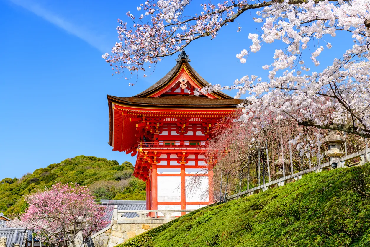 Büyük Japonya Turu (Tokyo - Tokyo)